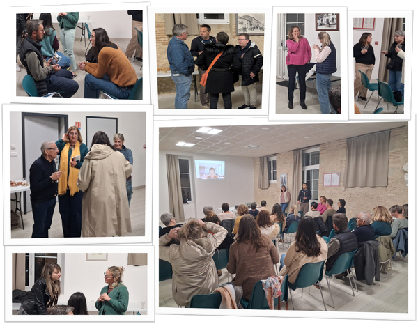 Retour sur une dynamique territoriale autour du dispositif Domoplaies