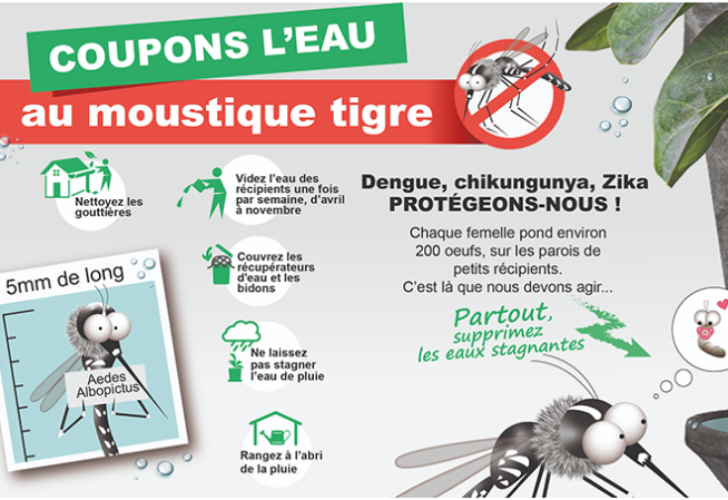 Renforcement de la surveillance des arboviroses : dengue, chikungunya et Zika en Nouvelle-Aquitaine — mai à novembre 2025