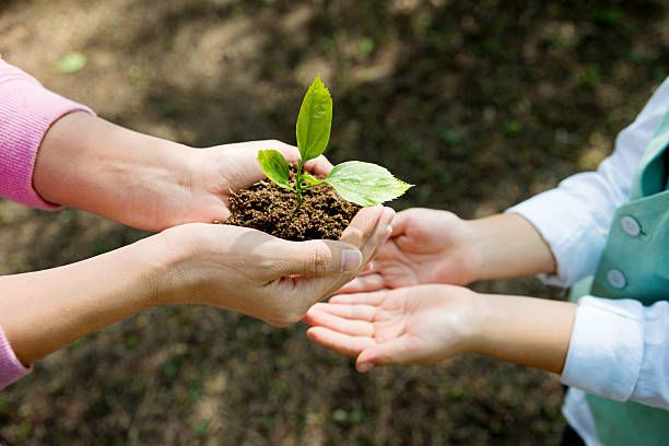 Santé environnement : 
