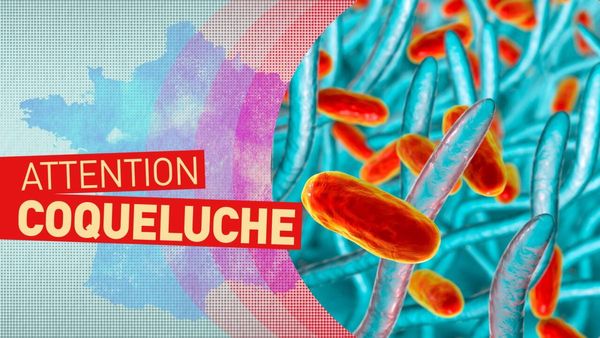 [ÉPIDÉMIE DE COQUELUCHE ⚠️]