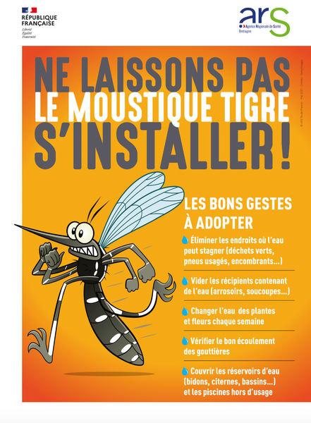 Ne laissons pas le moustique tigre s'installer ! 🦟