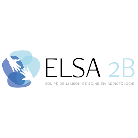 logo ELSA 2B