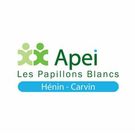 logo APEI Henin-Carvin